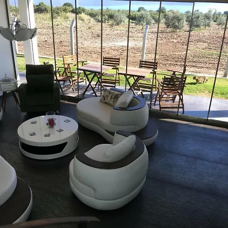 Propertyrentalsinturkey Akbük